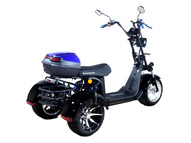 Электротрицикл SKYBOARD MyRussia TRIKE BR60-3000 PRO FAST
