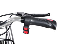 Электротрицикл TRION Transporter DUAL 1200W