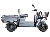 Электротрицикл Rutrike Баркас 740 60V1000W