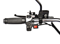 Электротрицикл SKYBOARD Elbrus Chopper-4000 Harrow