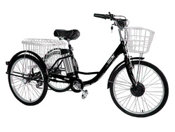 GreenCamel Трайк-24 V2 (R24 48V12Ah), Черный