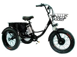 GreenCamel Трайк-F20 (R20 48V15Ah), Черный